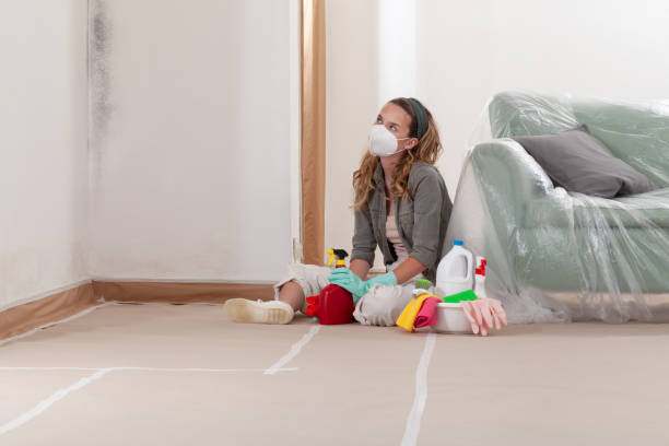 Reliable Mold Remediation contractor in Euless, TX by 24 Hour Mold Removal